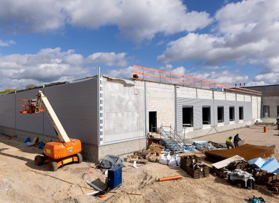 Niederegger Lübeck-1_0012_Hintergrund